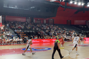 Heimspiel an Feiertag:
                        Kangaroos empfangen Westerstede - Doppelspielwochenende