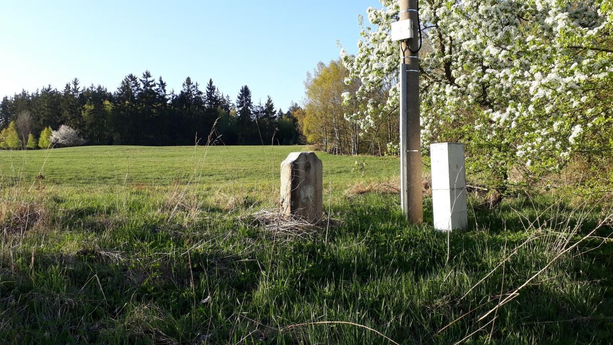 Eine grünflächige Wiese mit einem zentralen Baum, umgeben von anderen Bäumen unter einem klaren blauen Himmel, mit einem Pfahl und zwei Betonblöcken im Vordergrund, wahrscheinlich Teil eines Denkmals.