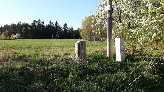 Eine grünflächige Wiese mit einem zentralen Baum, umgeben von anderen Bäumen unter einem klaren blauen Himmel, mit einem Pfahl und zwei Betonblöcken im Vordergrund, wahrscheinlich Teil eines Denkmals.