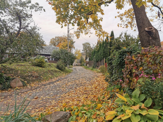 Ein von Bäumen und Büschen gesäumter Schotterweg im Herbst, mit bunten Blättern am Boden, Gebäuden, Polen, Drähten und dem Himmel im Hintergrund und Pflanzen auf der rechten Seite.