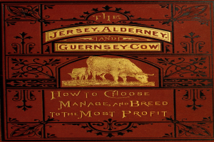 Tierwohl im Tiertransport: Bundesrat setzt Berlin unter Druck
