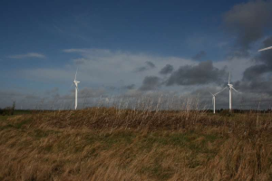 Ein Windturbinenfeld auf einer grünen Wiese mit Bäumen im Hintergrund und Wolken am Himmel, mit Text, der darauf hinweist, dass es sich um einen Windpark in den Niederlanden handelt.