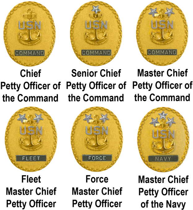 Sechs Goldm├╝nzen mit der Aufschrift "Petty Officer of the Command" auf einem wei├čem Hintergrund.