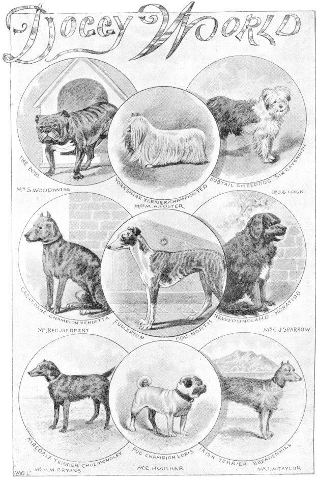 Schwarzer und weißer Poster mit der Aufschrift "Doggy World" mit Bildern und Texten über verschiedene Hunderassen.
