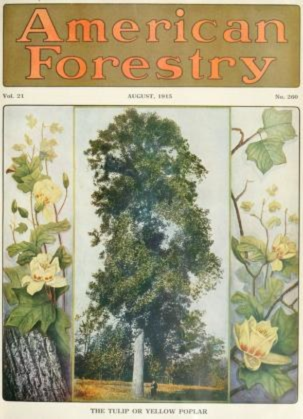 Titelbild der *American Forestry Magazine*, August 1915 mit farbenfrohen Illustrationen von Bäumen und Blumen.