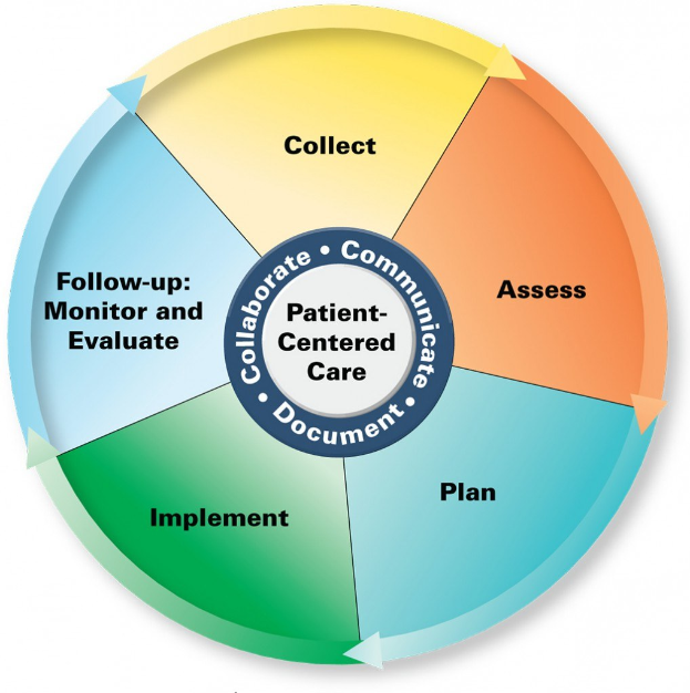 Kreisförmige Diagramm mit der Bezeichnung "patientenorientierte Versorgung" mit vier farbigen Abschnitten, die jeweils mit einem bestimmten Aspekt der Versorgung beschriftet sind, auf einem weißen Hintergrund.