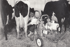 Ein Schwarz-Weiß-Foto einer Frau, die eine Kuh auf einem Hof melkt, mit einem Maschine mit Rädern in der Nähe und einer Wand im Hintergrund.