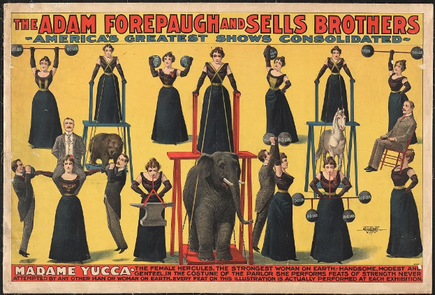 Plakat für die vereinigten Zirkusshow von Adam Forepaugh und Sells Brothers mit Performern auf Hockern mit Requisiten und einem Elefanten in der Mitte, begleitet von Text.