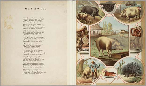 Ein aufgeschlagenes Buch mit Illustrationen von Schweinen, Hühnern und anderen Bauernhoftieren auf der linken Seite.