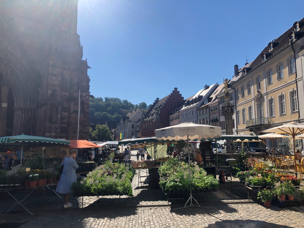 Ein lebendiger Markt im Heidelberger Altstadt mit Menschen, die durch die Gassen schlendern, auf Stühlen sitzen und an Tischen mit Blumentöpfen und Sonnenschirmen stehen, vor einem Hintergrund aus Gebäuden, Bäumen und einem klaren blauen Himmel.