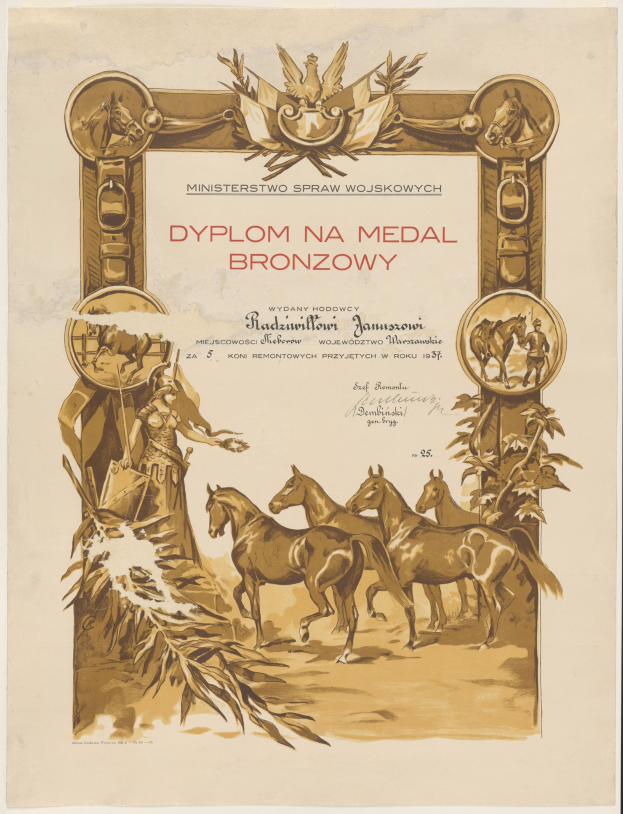 Ein Plakat mit einer Gruppe galoppierender Pferde auf einer Wiese mit Sonnenuntergang-Hintergrund und dem Text "Dyplom na Medal Bronzowy", der eine Medaillenverleihung bewirbt.