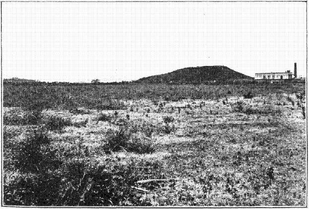 Schwarzes und weißes Foto eines Feldes mit einem Hügel im Hintergrund, einem Gebäude auf der rechten Seite und einem Himmel oben, mit dem Text 'New York State Penitentiary' unten.