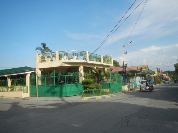 Eine Straße mit fahrenden Fahrzeugen, ein grünes Gebäude mit einem passenden Zaun, Geländern, Vegetation, Bäumen, Strommasten, Straßenlaternen, Oberleitungen und einer Flagge bei bewölktem Himmel.